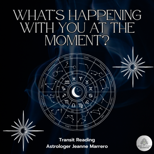 ✨TRANSIT CHECK-IN READING ✨